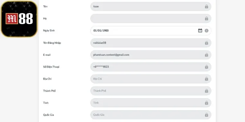 Các thông tin cơ bản của người chơi